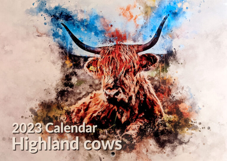 2023 Highland Cow wall calendar – Alan Hill Art