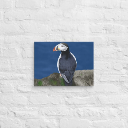 Puffin digital painting canvas art wall print - Image 4