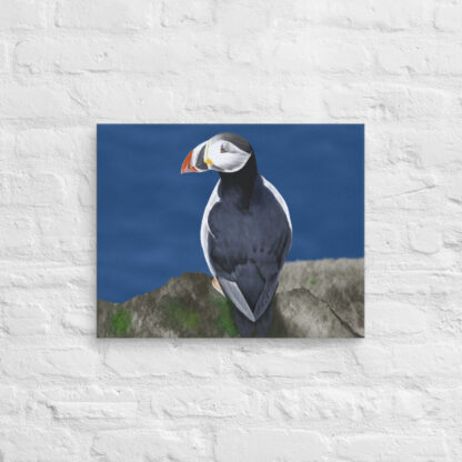 Puffin digital painting canvas art wall print - Image 5