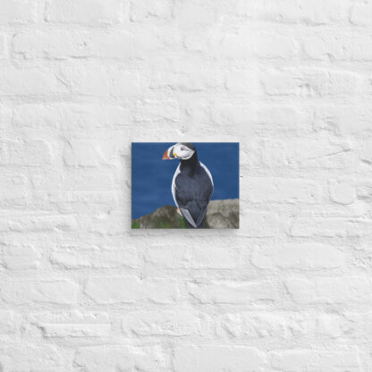 Puffin digital painting canvas art wall print - Image 2