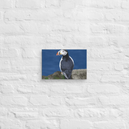 Puffin digital painting canvas art wall print - Image 3