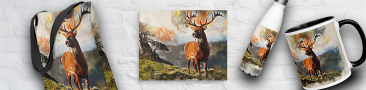 Highland Deer